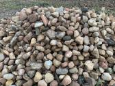 Lauko akmenys ,Reduliai - nuotraukos Nr. 7
