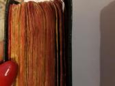 Senuteles biblijos - nuotraukos Nr. 6
