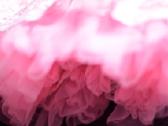 Beautees Neon Lace Belted Skater Dress Girls10m. - nuotraukos Nr. 8