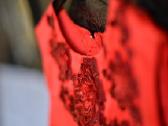 By Jasper Conran Kids Girls Red Textured Dress - nuotraukos Nr. 8