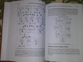 "дао Toyota15 Must Read" Лайкер Д. 2013 m. - nuotraukos Nr. 8
