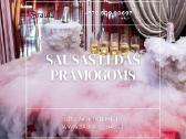 Sausas ledas (dry ice) - nuotraukos Nr. 2