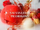 Sausas ledas (dry ice) - nuotraukos Nr. 4