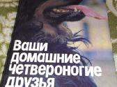 "ваши домашние четвероногие друзья"