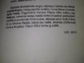 "Mano pusseserė Reičel"mauer Daphne Du - nuotraukos Nr. 3
