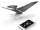 Dronas Bionic Bird