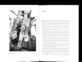 V. Ruzas "Ordinai, medaliai ir zenkleliai" 2008 m. - nuotraukos Nr. 3