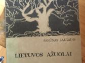 Lietuvos ąžuolai