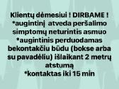 Šunu ir kačiu kirpykla Kauno Centre - veterinaras - nuotraukos Nr. 4