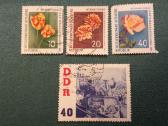 Vokietija (Ddr) 1961 m.
