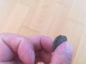 Wilno - 6 pulko pinigai 1919-1921 metai - nuotraukos Nr. 6