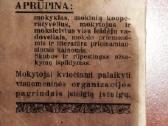 Kišeninis žodynėlis - nuotraukos Nr. 2