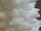 Zara Home žvakės eglutės naujos - nuotraukos Nr. 5
