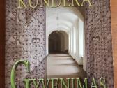 Įvairi grožinė literatūra suaugusiems - nuotraukos Nr. 11