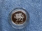 Moneta UK 1995m. 1 svaras, sidabras