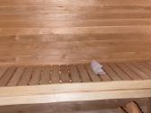 Lauko pirtis - saunas "Rasa" - 2.3 x 3.4 m - nuotraukos Nr. 18