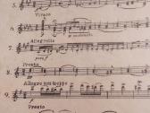 J.brahms natos fortepijonui - nuotraukos Nr. 4