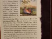 Knyga "Fėjų dulkės ir kiaušinio paslaptis" - nuotraukos Nr. 3