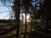Perku Mišką - nuotraukos Nr. 2