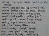 Lietuvių-anglų k.žodynas - nuotraukos Nr. 6
