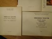 1969/89 menas V.šleivytė (kaunas,Vilnius,kupiškis) - nuotraukos Nr. 5