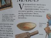 Knyga apie mediciną - nuotraukos Nr. 6
