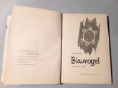 Knyga . Anna Jūrgen , Blauvogel. - nuotraukos Nr. 2