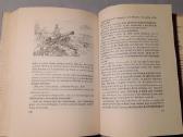 Knyga . E.sealsfield. Tokeah - nuotraukos Nr. 4