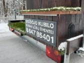 Didžiojo kubilo nuoma Anykščiuose ju apskrityje - nuotraukos Nr. 13