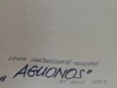 Aguonos - nuotraukos Nr. 2