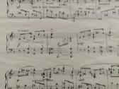 D.kabalevskis Sonata fortepijonui - nuotraukos Nr. 2