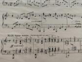 D.kabalevskio sonata fortepijonui - nuotraukos Nr. 3