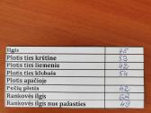 Natūralaus avikailio puspaltis - nuotraukos Nr. 6