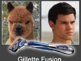 Jau 15 metų tik originalūs Gillette - nuotraukos Nr. 2