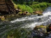 Baidarių nuoma: Šventoji, Jara, Vyžuona - nuotraukos Nr. 8