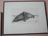 Grafika - nuotraukos Nr. 23