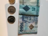 Tanzanijos pinigai