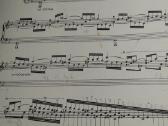 C.saint- Saens Koncertas fortepijonui - nuotraukos Nr. 2