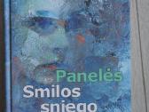 Knyga, detektyvas Panelės Smilos sniego jausmas