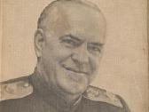 Knyga