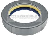 Priekinių tiltų dalys zf, carraro, dana ir kt. - nuotraukos Nr. 9