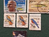 Usa 1991-92 m.