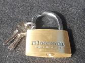 Pakabinamos spynelės "Victory" ir "Blossom" - nuotraukos Nr. 8
