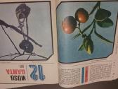1975 m žurnalai Mūsu gamta - nuotraukos Nr. 11