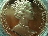 Moneta I.o.m. 1995m. 1 krona, sidabras - nuotraukos Nr. 2