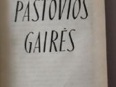 Knyga: Macevičius Juozas Pastovios gairės - nuotraukos Nr. 3