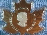 Maneta Canada 2016m. 10 dollars, sidabras - nuotraukos Nr. 2