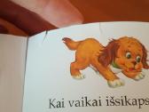 Knygutė vaikams "Apie paiką ožį ir katytės grožį" - nuotraukos Nr. 5