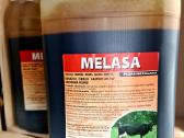 Cukrinių runkelių melasa – 5 ltr, Puiki Kaina!