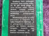 Detektyvas - nuotraukos Nr. 2